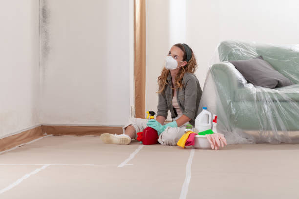 Reliable Mold Testing contractor in New Market, VA by WQB Mold Removal